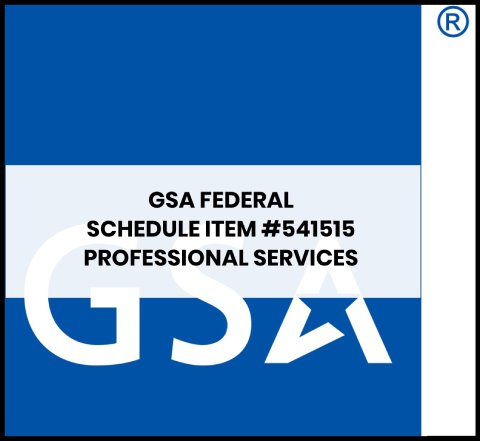 GSA federal professional services